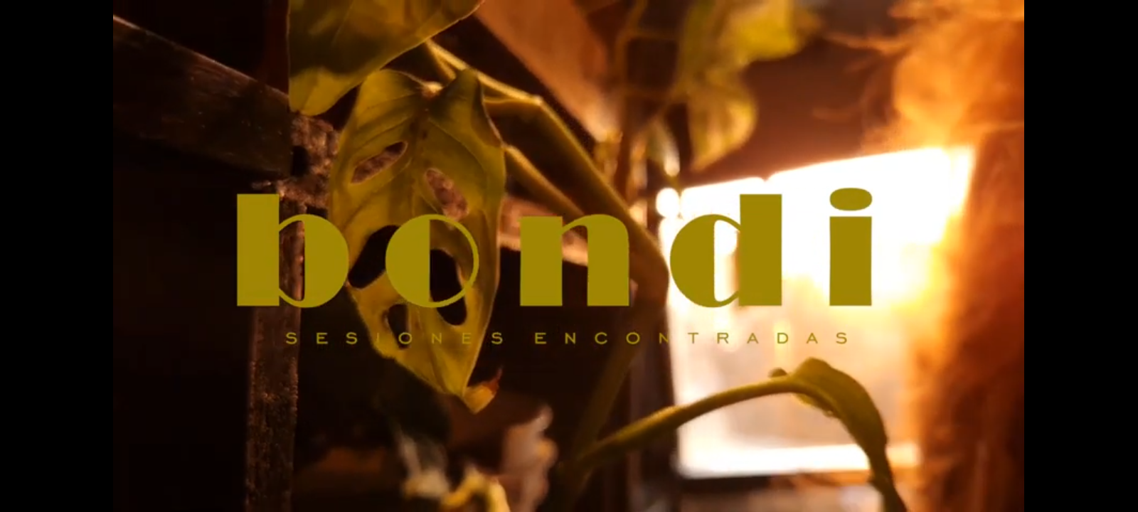  BONDI | SESIONES ENCONTRADAS